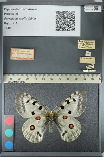 Media type: image;   Entomology 175119